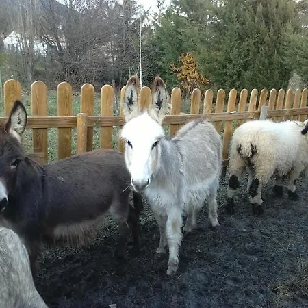 شاليه Sur Pilotis Ane'ita De L'arbenquens La Mure-Argens