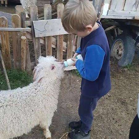 Sur Pilotis Ane'ita De L'arbenquens Шале *